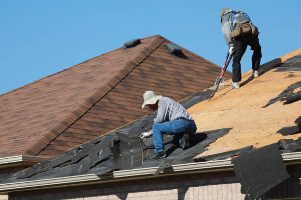 Best Roof Ventilation Installation  in Tishomingo, OK